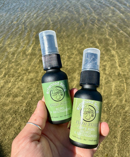 Dream State Mushroom & Herbal Tincture | Glycerin-Based