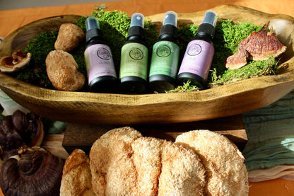 Flow State Mushroom & Herbal Tincture | Glycerin-Based