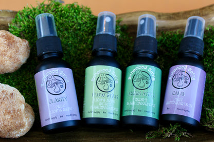 Dream State Mushroom & Herbal Tincture | Glycerin-Based