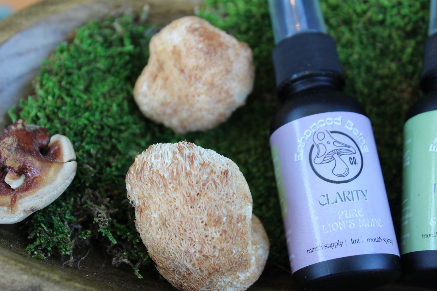 Clarity Mushroom Tincture | Glycerin-Based