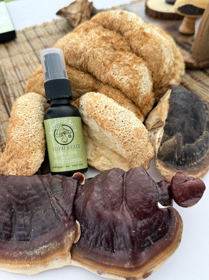Flow State Mushroom & Herbal Tincture | Glycerin-Based